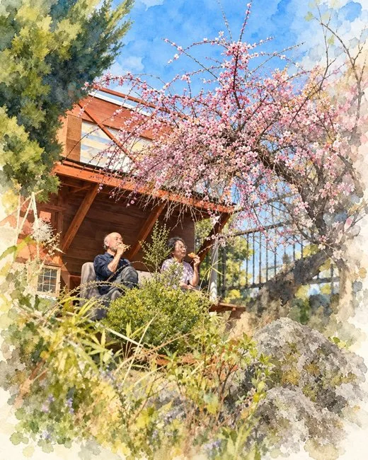 The garden cabin